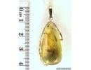 Genuine Baltic amber gold pendant 14K with fossil insect- Fly. #g160_0002