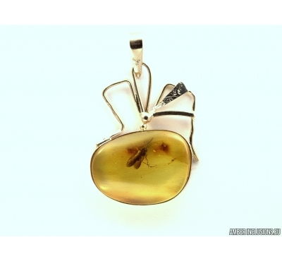 Genuine Baltic amber golden pendant with fossil insect- Caddisfly #g160_0007