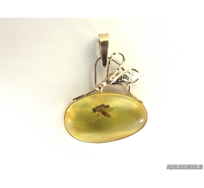 Genuine Baltic amber golden pendant with fossil insect- Fly. #g160_0006