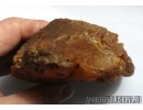 Genuine BALTIC AMBER Stone. 360 grams. #st-028