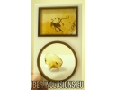 CRICKET, ORTHOPTERA in BALTIC AMBER #4107
