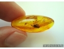 Nice flower in Baltic amber #5145