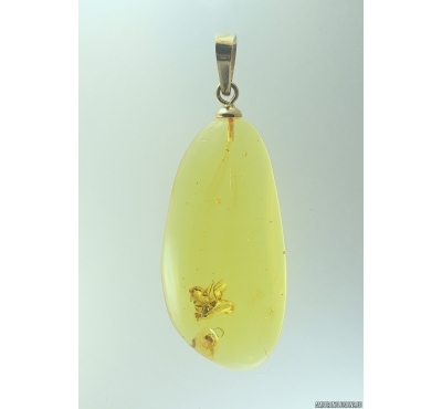 Genuine Baltic amber golden 14k pendant with fossil insects - Flies #g150_001