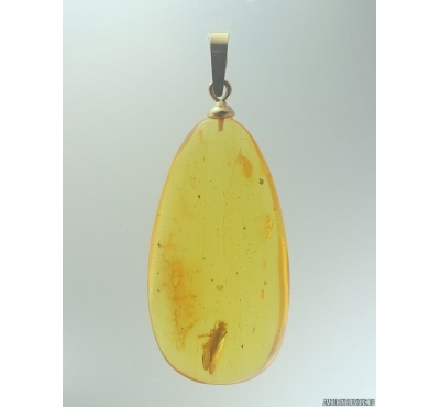 Genuine Baltic amber golden 14k pendant with fossil insect- Caddisfly Thichoptera #g150_003