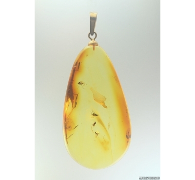 Genuine Baltic amber golden 14k pendant with fossil insects - Gnats #g150_004