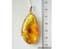 Genuine Baltic amber golden 14k pendant with fossil insect- Caddisfly Thichoptera #g220_022