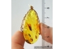 Genuine Baltic amber golden 14k pendant with fossil insect- Caddisfly Thichoptera #g220_022