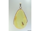 Genuine Baltic amber golden 14k pendant with fossil insect- Nice Caddisfly Thichoptera #g220_034