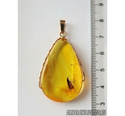 Genuine Baltic amber golden 14k pendant with fossil insect- Nice Caddisfly Thichoptera #g220_034