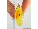 Genuine Baltic amber golden 14k pendant with fossil insect - Gnat #g220_035