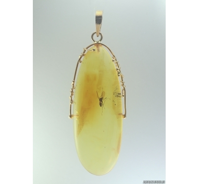 Genuine Baltic amber golden 14k pendant with fossil insect - Gnat #g220_035