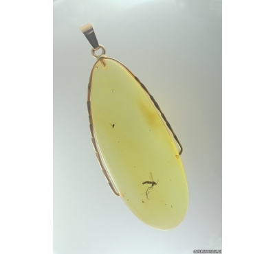 Genuine Baltic amber golden 14k pendant with fossil insect - Gnat #g220_037