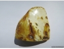 Genuine BALTIC AMBER Stone. 98 grams. #st-033