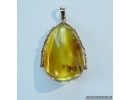 Genuine Baltic amber golden pendant 14K with fossil insects- 2 Flies  #g160_0001