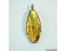 Genuine Baltic amber golden pendant with fossil insect- Gnat #g160_0008