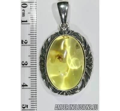 Genuine Baltic amber silver pendant with fossil inclusion - Spider.