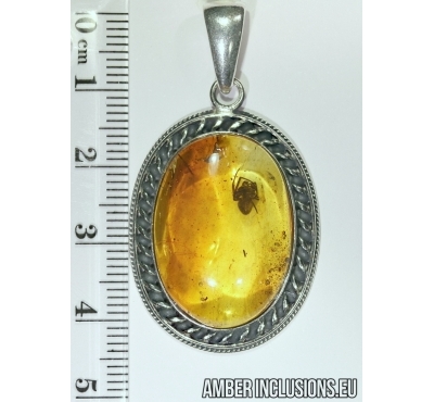 Genuine Baltic amber silver pendant with fossil inclusion - Spider.