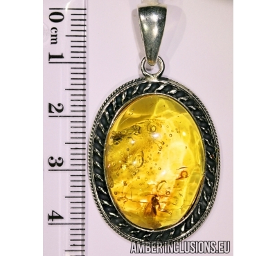 Genuine Baltic amber silver pendant with fossil insect- Fly.