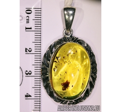 Genuine Baltic amber silver pendant with fossil inclusion - Spider.