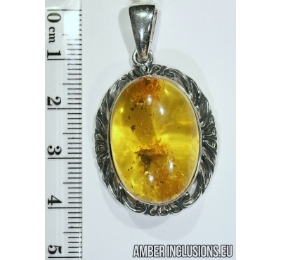 Genuine Baltic amber silver pendant with fossil insect- Fly.