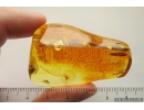 Wasp Hymenoptera. Fossil insect in Ukrainian Rovno amber #10685R