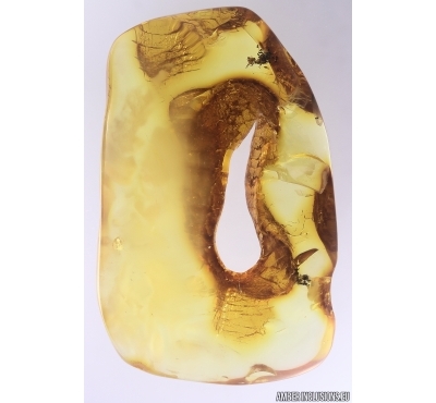 Ukrainian Rovno Amber with Nice Natural Hole  #11592