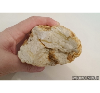 Unique White Color, Genuine BALTIC AMBER Stone. 475 grams. #st-019