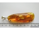 True midges Chironomidae Mating (Copula). Fossil inclusions in big silver pendant Baltic amber #12103