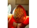 Extremely Rare Inclusion: Lichtenberg figure. Inclusion in Baltic amber #12142