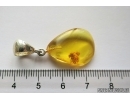 Snipe Fly Rhagionidae. Fossil insect in Baltic amber Silver pendant #12225