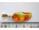  Flat Wasp Bethylidae. Fossil inclusion in Silver Pendant Baltic amber #12322