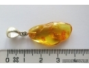 Spider in Spider web. Fossil inclusion in Silver Pendant Baltic amber #12323