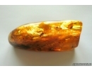Ant Formicidae Formica Flori and Fly. Fossil inclusions in Very Nice Big 77g! Ukrainian Rovno amber stone #13361R
