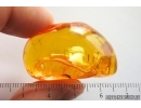 Nice 32mm air Bubble. Fossil inclusions in Baltic amber stone #13875
