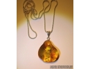 Two Nice Flowers and More. Fossil inclusions in Baltic amber #14875