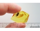 Nice Caddisfly Trichoptera. Fossil insect Baltic amber #15209