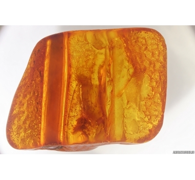Nice Stalactite. Fossil inclusion in Baltic amber stone #15262