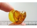 Running air in water bubble. Fossil inclusions Baltic amber #15397