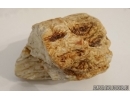 Unique White Color, Genuine BALTIC AMBER Stone. 475 grams. #st-019