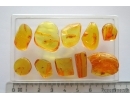 Set of 10 Baltic amber stones with inclusions #20-001