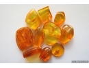 Set of 10 Baltic amber stones with inclusions #20-001