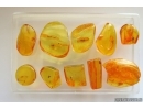 Set of 10 Baltic amber stones with inclusions #20-001
