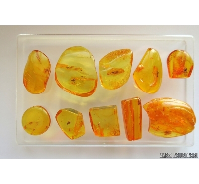 Set of 10 Baltic amber stones with inclusions #20-001