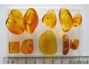 Set of 10 Baltic amber stones with inclusions #20-002