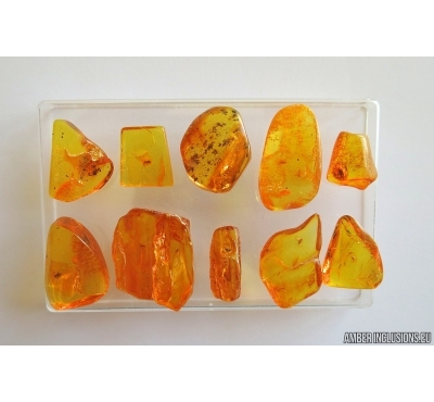 Set of 10 Baltic amber stones with inclusions #20-003