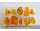 Set of 10 Baltic amber stones with inclusions #20-003