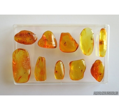 Set of 10 Baltic amber stones with inclusions #20-005
