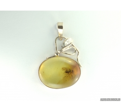 Genuine Baltic amber golden pendan with fossil insect- Fly. #g160_0004