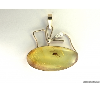 Genuine Baltic amber golden pendant with fossil insect- Gnat. #g160_0005