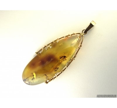 Genuine Baltic amber golden pendant with fossil insects- 4 Gnats #g160_0003